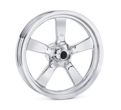 Fat X 5-Spoke 16 in. Rear Wheel