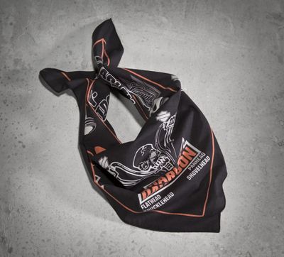 harley davidson skull face bandana