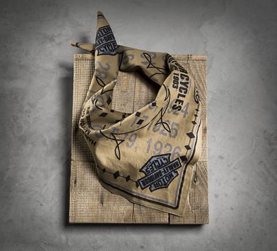 harley davidson skull bandana